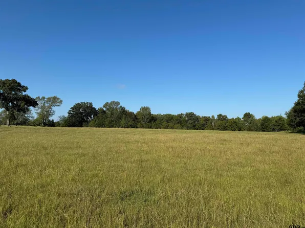 0 County Road 338, Lindale, TX 75771
