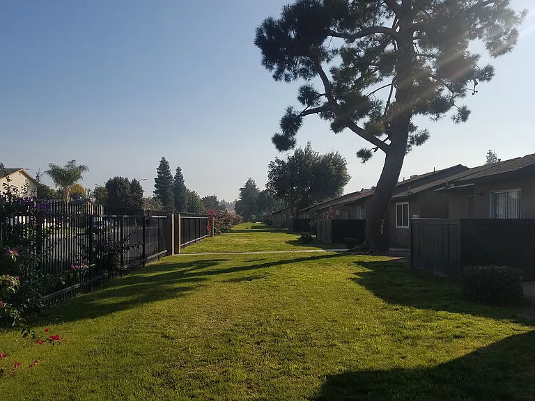 Pacific Pines — Photo 21