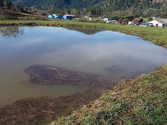 pond