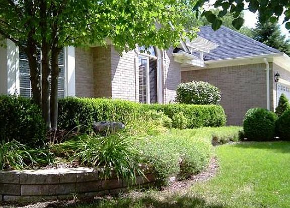 Brian LaDue 586-873-2242