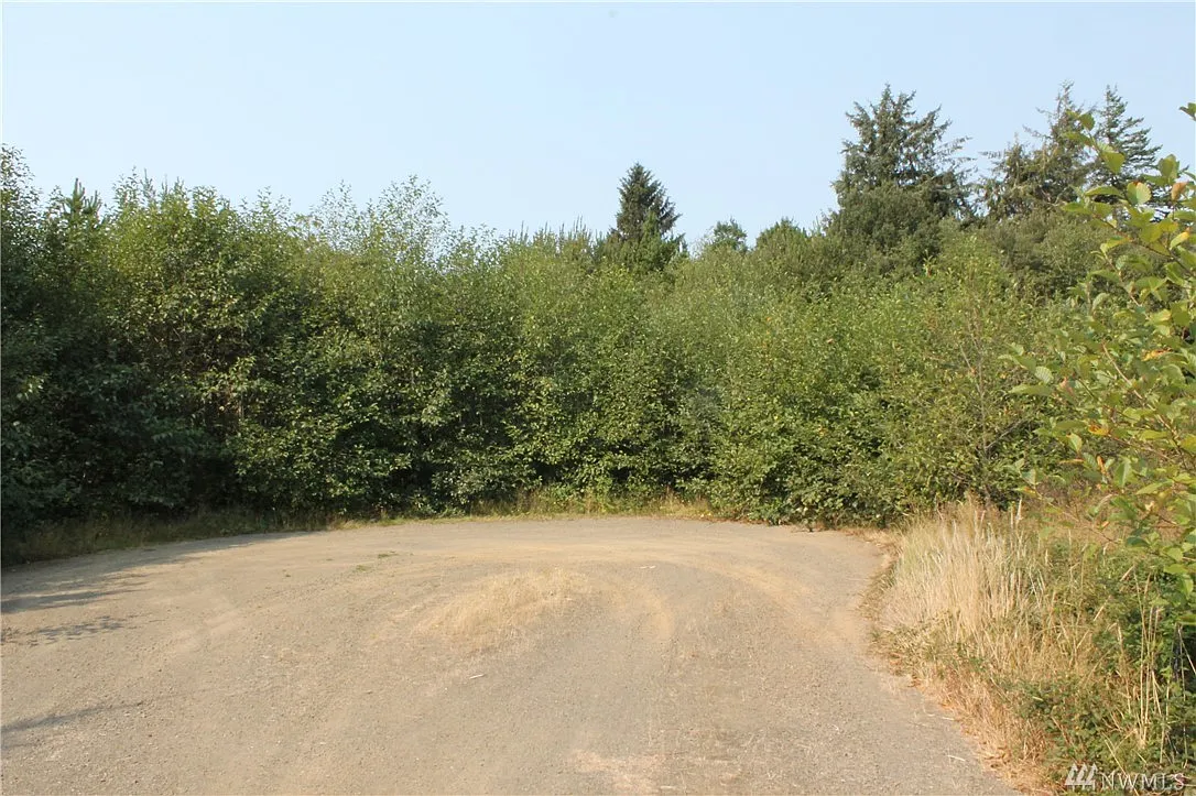2413 259th Ln photo 1