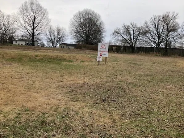 342 N Church Ave, Henderson, TN 38340
