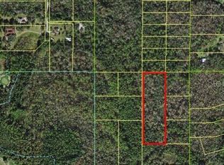 S Goodman Rd, Kissimmee, FL 34747