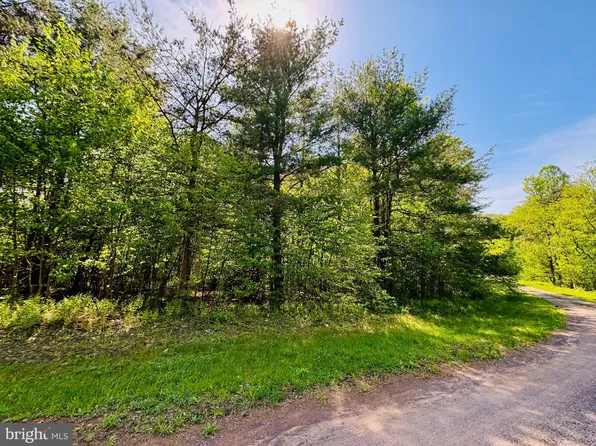 LOT 42 Paradise Rd, James Creek, PA 16657