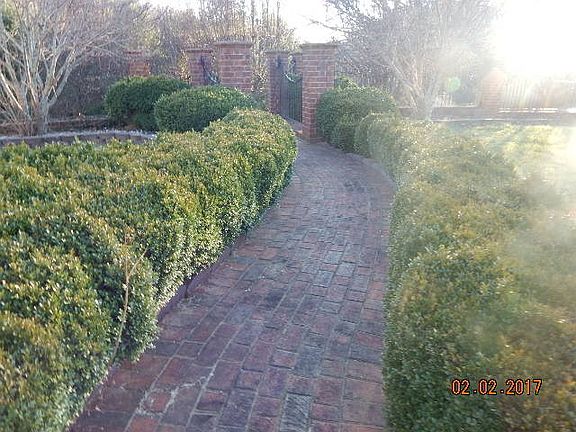 2nd image of 103 Willow Bend Dr