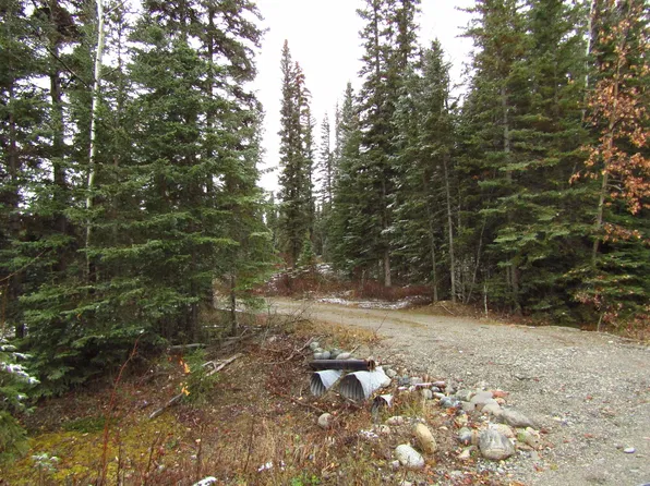 2345 Clearwater Rd, Delta Junction, AK 99737
