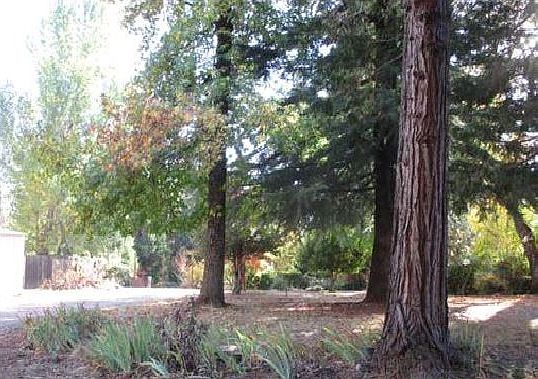 2nd image of 4344 Harness Tract Rd