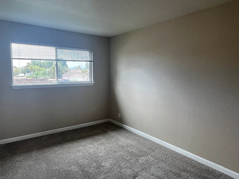 36976 Mulberry St #G — Photo 21