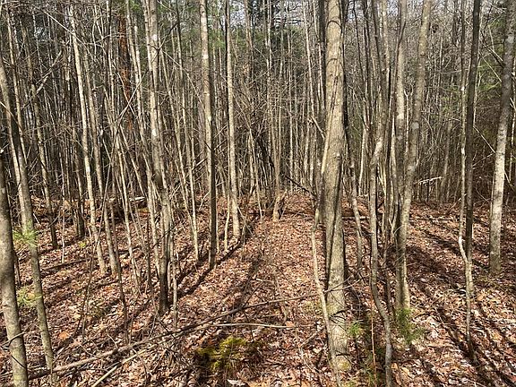 2nd image of 0 Blue Ridge Ln Lot 21