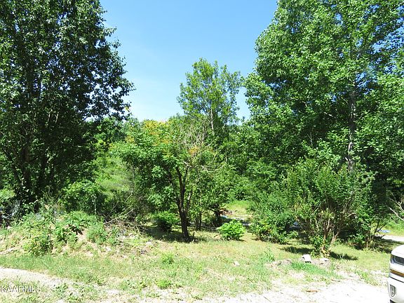 3rd image of 11505 Yarnell Rd