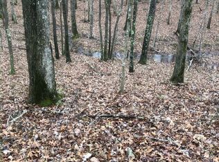 0 Shiann Rd, Summertown, TN 38483