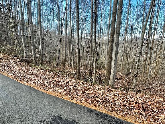 3rd image of 53 Timber Line Dr
