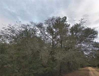 Donald Ave Lot 14, Interlachen, FL, 32148