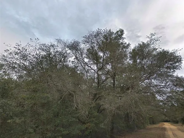 Donald Ave Lot 14, Interlachen, FL 32148