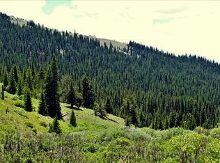 3956 Fs Rd #659, Fairplay, CO 80440