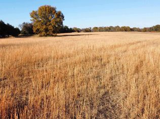 6 Pine Tree Pl, Greenbrier, AR 72058