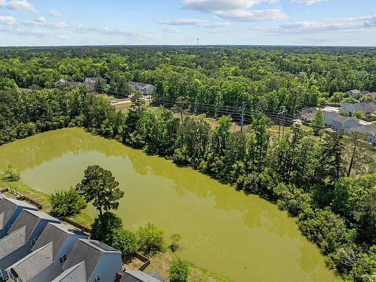 8988 Cat Tail Pond Rd — Photo 51