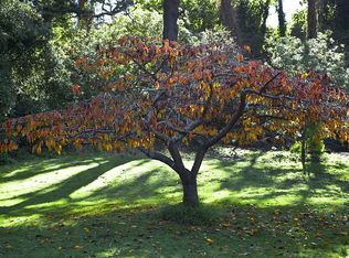 8113 Carroll Ln, Silver Spring, MD 20910