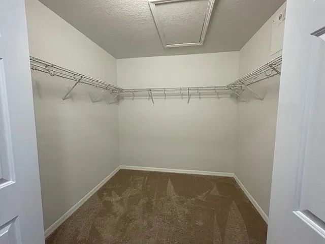 2463 Carnation Ct — Photo 9
