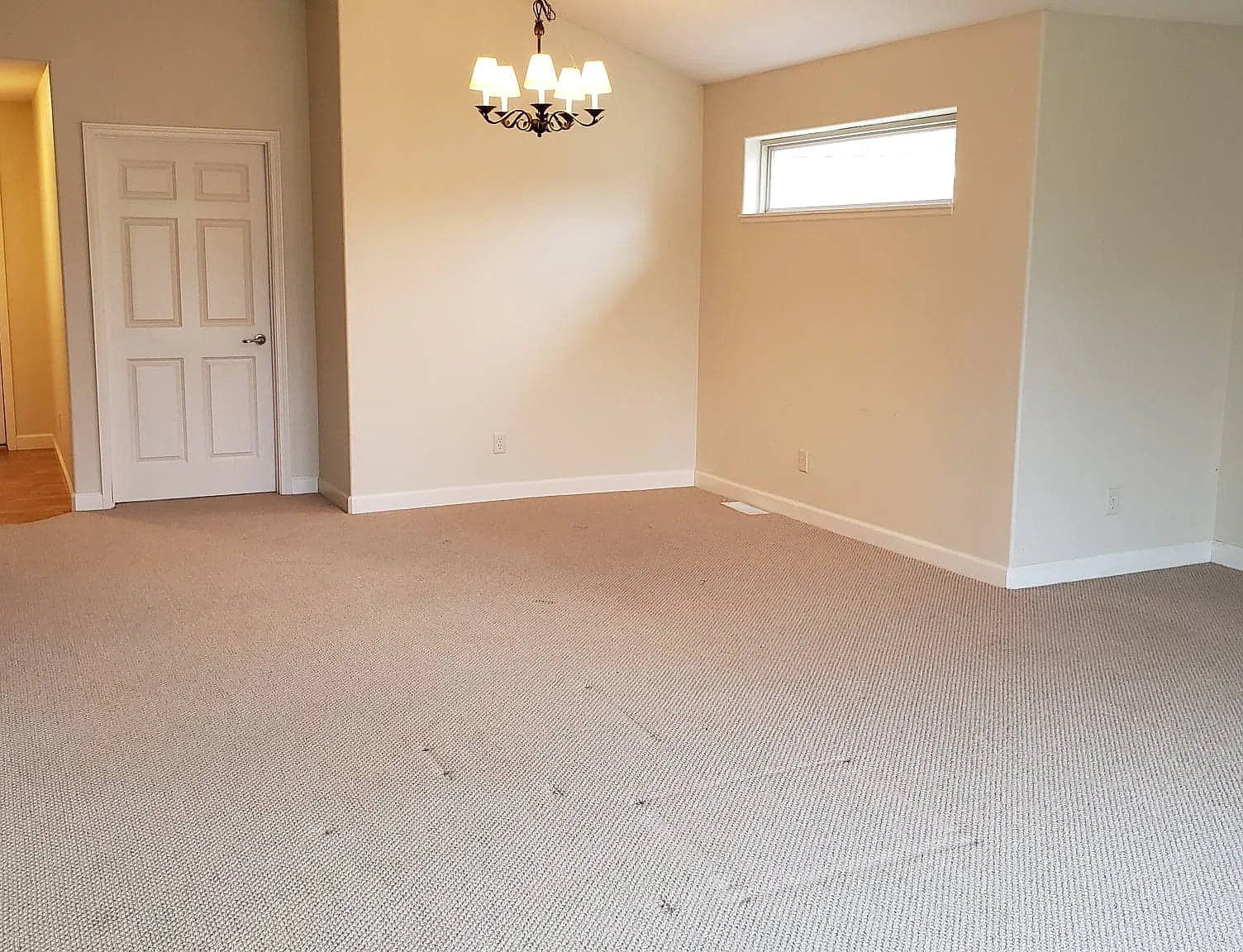 2 bed, 1250 sqft, $1,570 — Photo 3