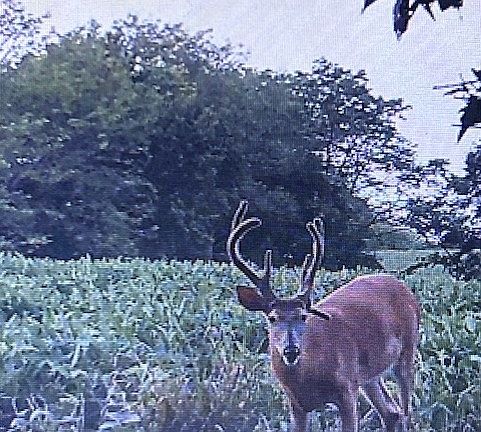 2nd image of NW Camden Rd