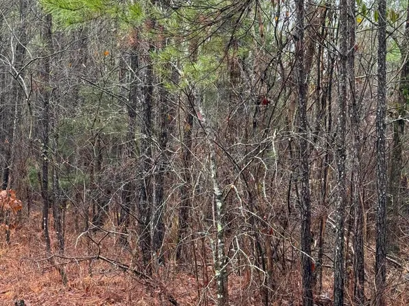 2400 Musgray Rd, Waterford, MS 38685