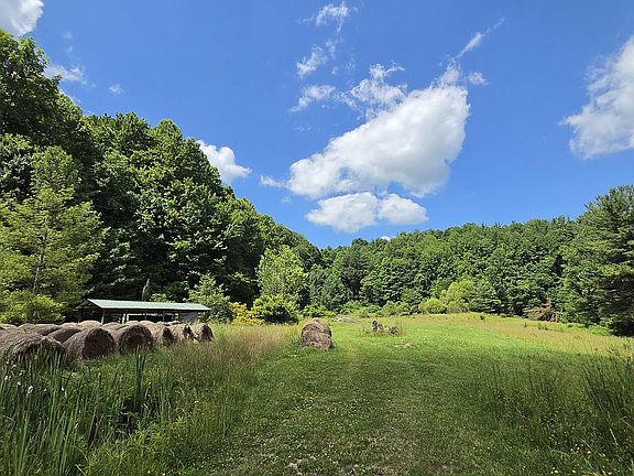 Back property partial view, 