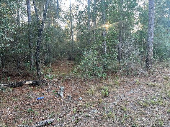 4th image of Lot 4+ BLAIR AVENUE LOT 4
