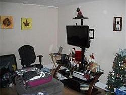 4th image of 39 Bickford Ave