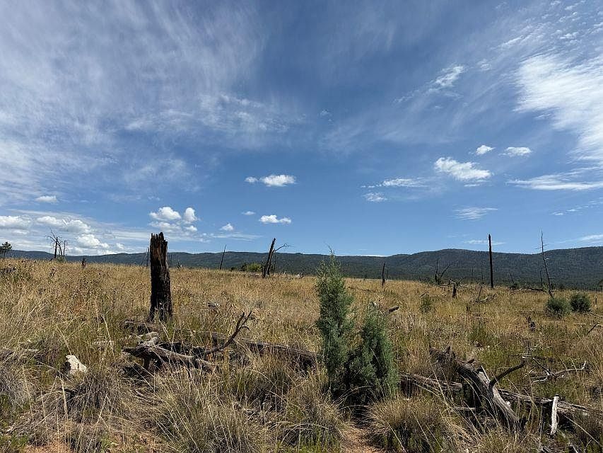 2nd image of 11 Tokatee Ct