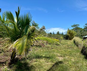 15-1429 16th Ave Lot 798, Keaau, HI, 96749