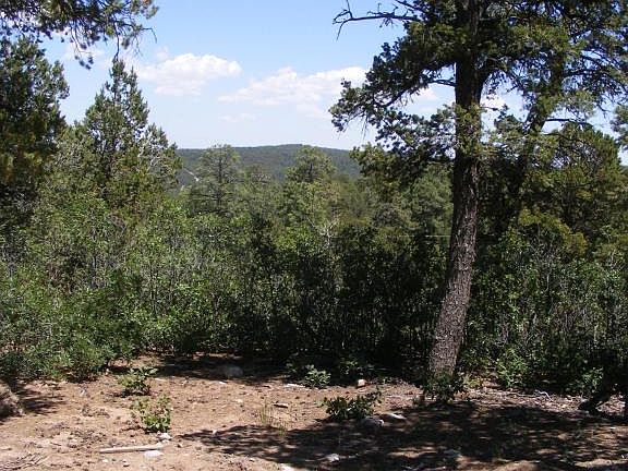 4th image of 8 Whispering Pines Ln