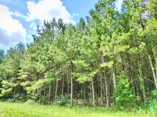 12 Us Highway 231, Brundidge, AL 36010