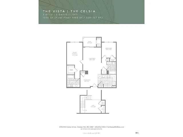Floor plan Celsia Loft - Vista