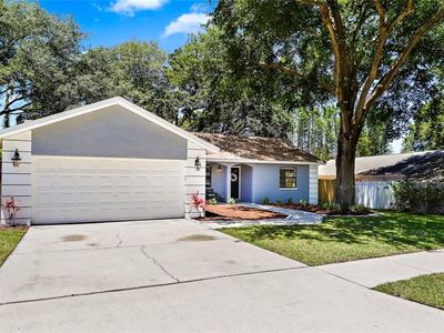 2620 Sunnyside Cir, Palm Harbor, FL, 34684