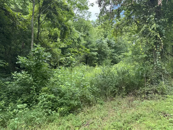 0 Denton Rd Lot 10, Linden, TN 37096