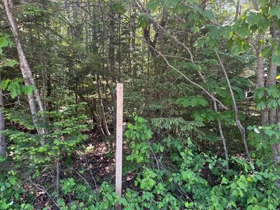 8190 Cordwood Trl, Cheboygan, MI, 49721