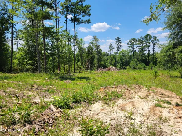 4517 Clearwater Ln, Marianna, FL 32448