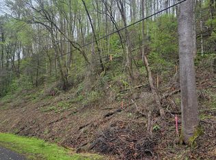 0 Black Walnut Flats Rd, Sevierville, TN 37862