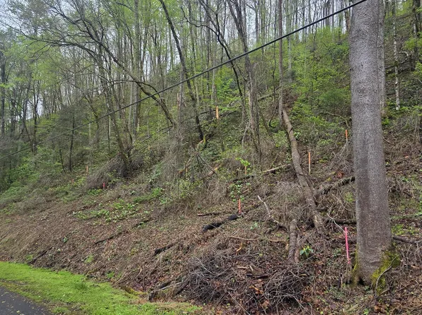 0 Black Walnut Flats Rd, Sevierville, TN 37862