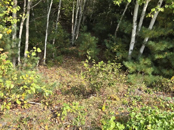 Lower Branch Rd Lot 11, Lunenburg, NS B4V 4M4