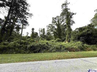 Hemingway Hwy, Nesmith, SC 29580