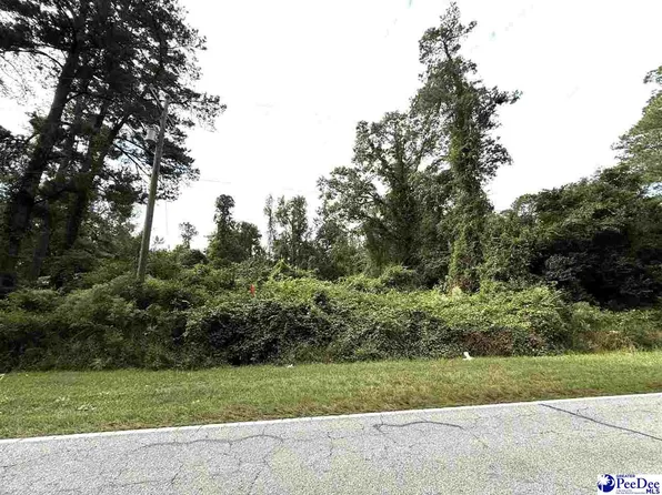 Hemingway Hwy, Nesmith, SC 29580