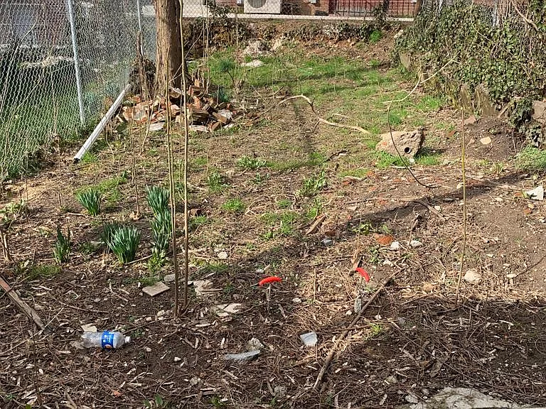 4301 Ludlow St #A — Photo 18