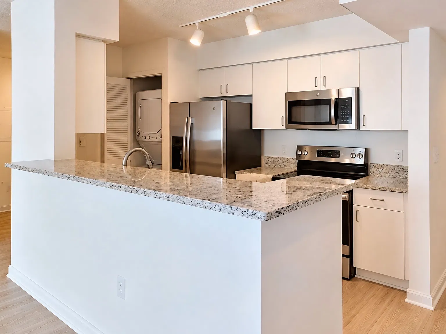 2 bed, 1238 sqft, $4,000 — Photo 3
