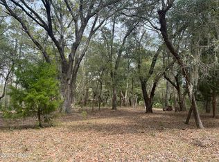 91 Janette Dr, Saint Helena Island, SC 29920
