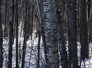 On Lake Nokomis Rd, Tomahawk, WI 54487