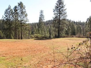 920 Dunrovn Pl, Meadow Vista, CA 95722