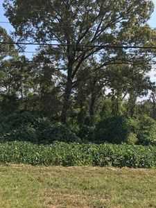 South St, Dadeville, AL, 36853