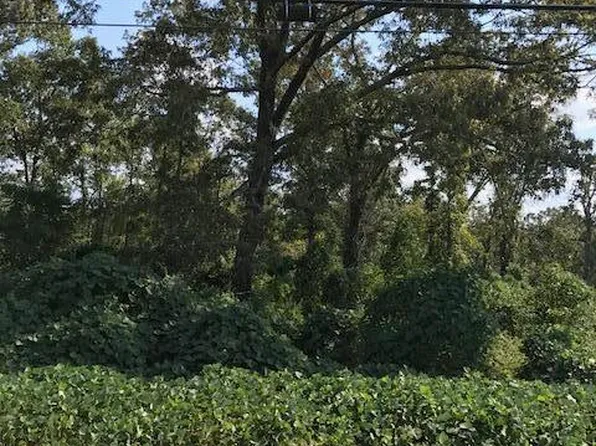 South St, Dadeville, AL 36853